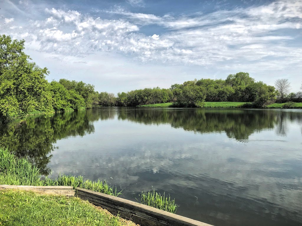 LOMC (May 2019) Pond_6762