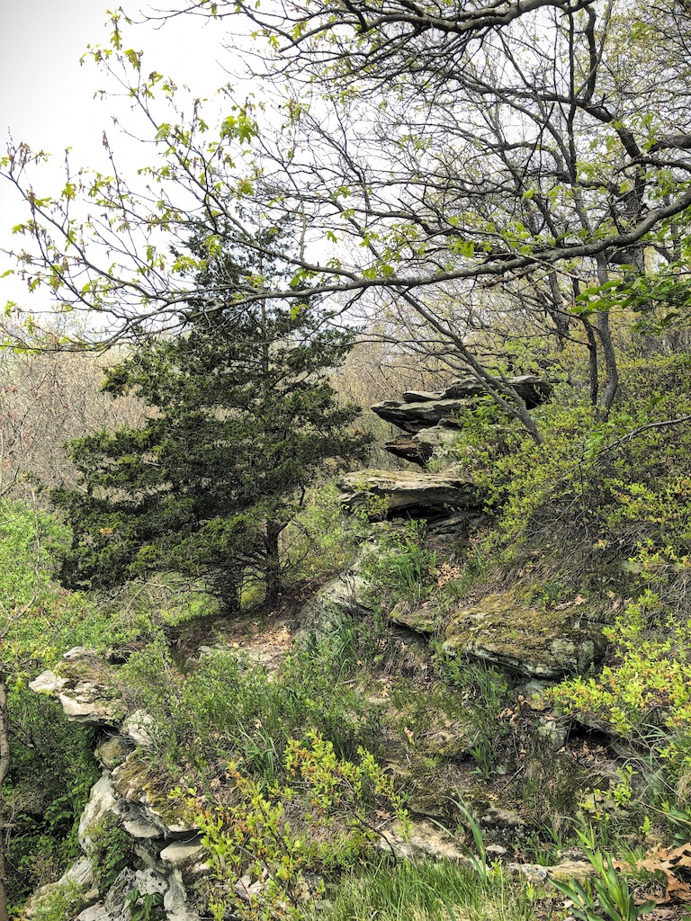 LOMC (May 2019) Trail_6794